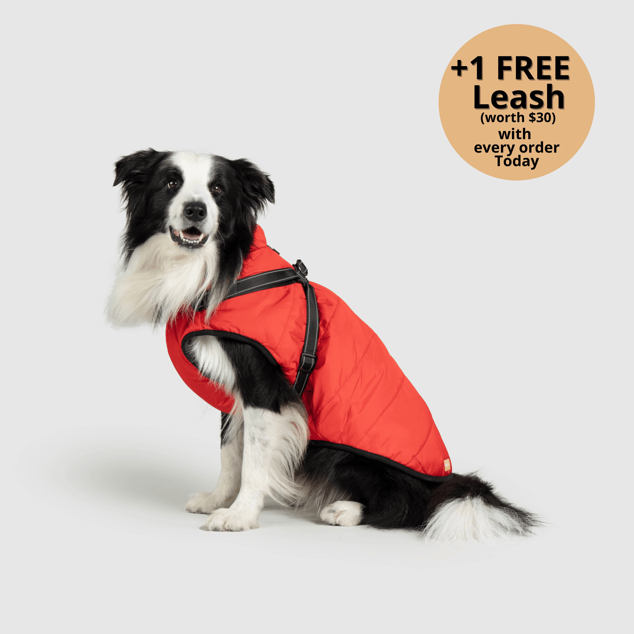 FurryKing™ 3 in 1 Winter Jacket