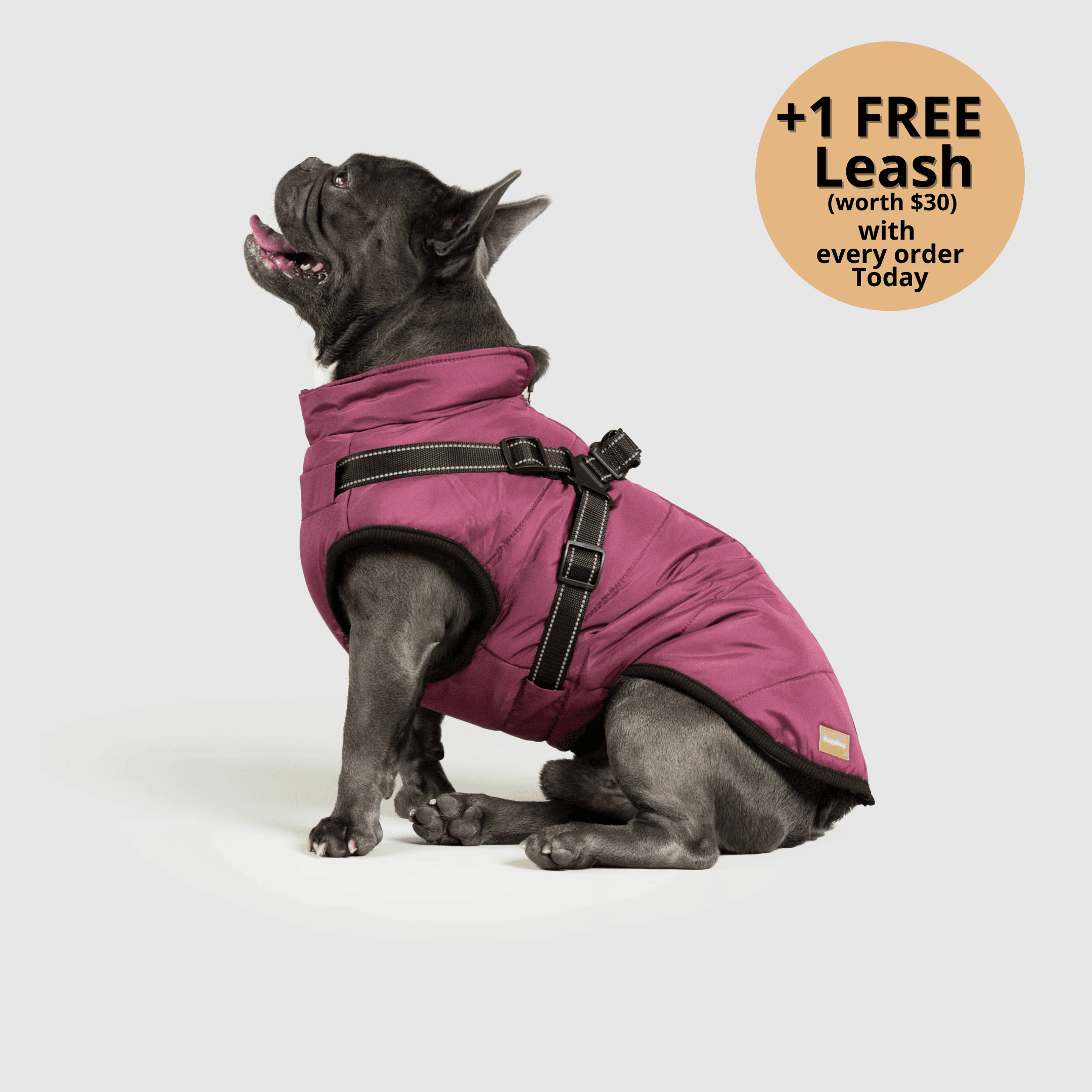 FurryKing™ 3 in 1 Winter Jacket