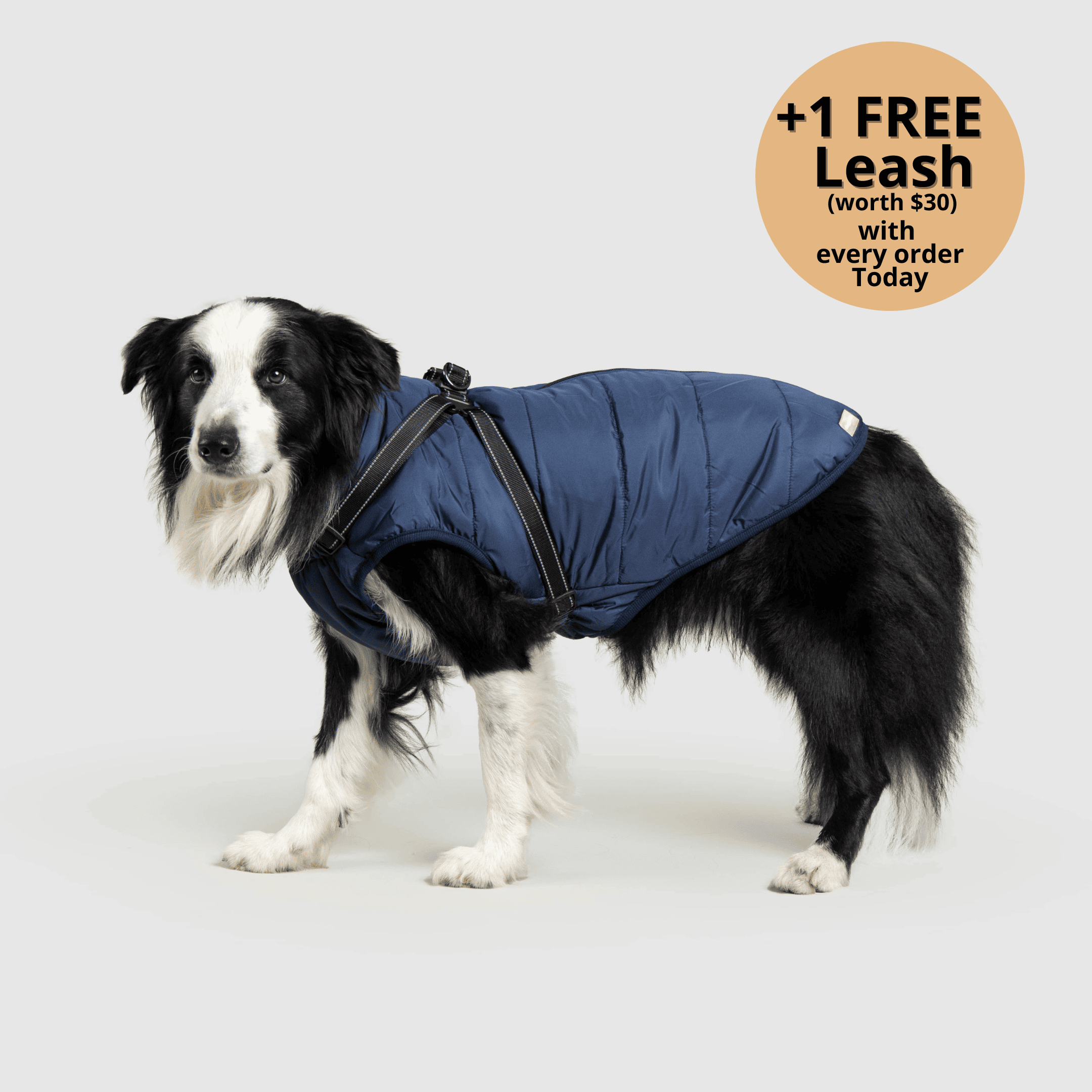 FurryKing™ 3 in 1 Winter Jacket